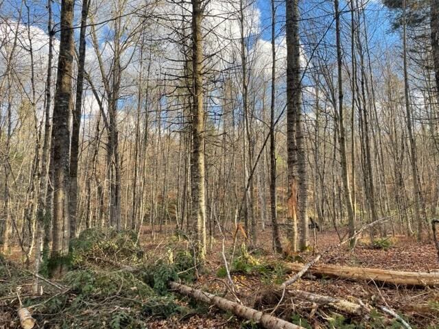 0 Little Huston Brook Rd, Concord Twp, ME 04920