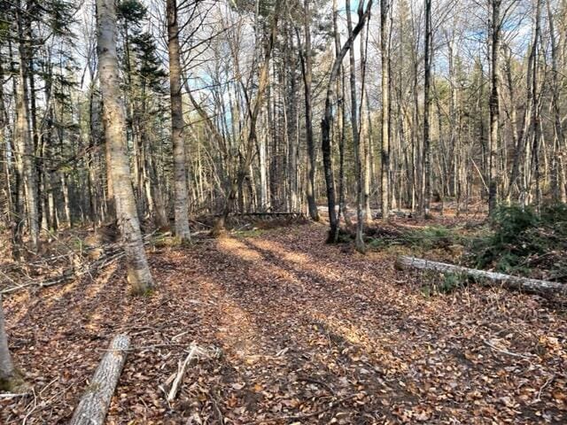 0 Little Huston Brook Rd, Concord Twp, ME 04920