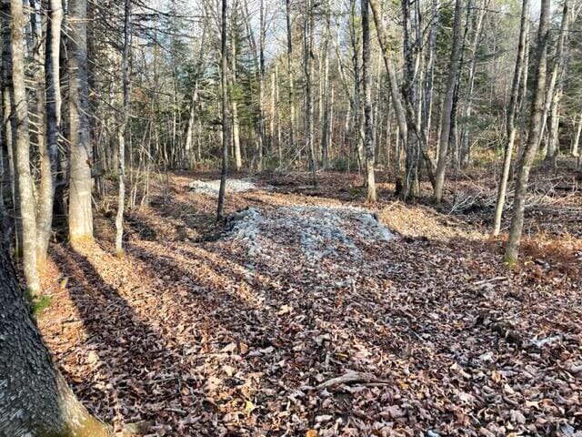 0 Little Huston Brook Rd, Concord Twp, ME 04920
