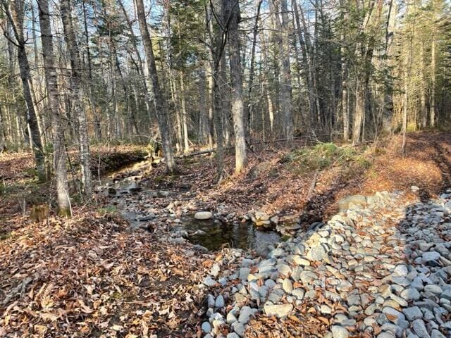 0 Little Huston Brook Rd, Concord Twp, ME 04920
