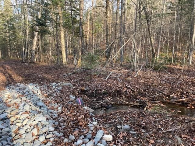 0 Little Huston Brook Rd, Concord Twp, ME 04920