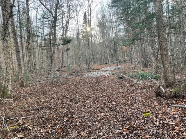 0 Little Huston Brook Rd, Concord Twp, ME 04920