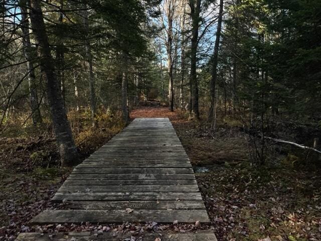 0 Little Huston Brook Rd, Concord Twp, ME 04920