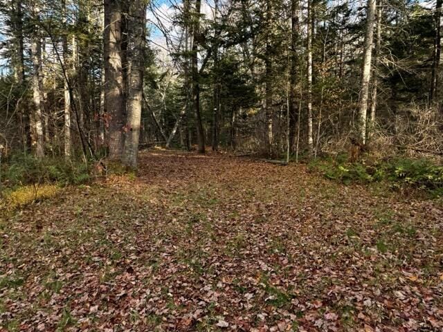 0 Little Huston Brook Rd, Concord Twp, ME 04920