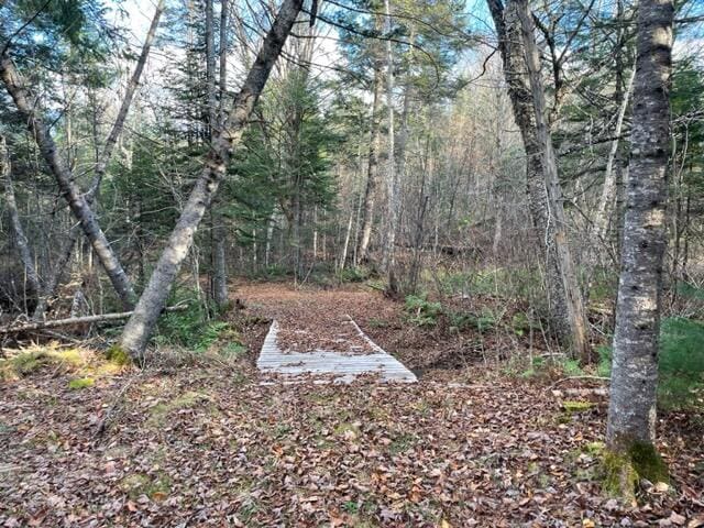 0 Little Huston Brook Rd, Concord Twp, ME 04920