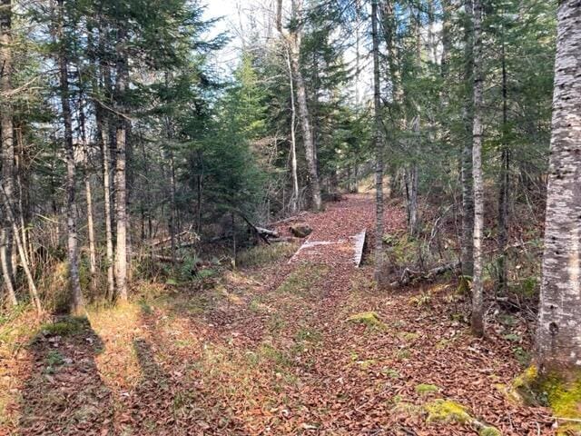 0 Little Huston Brook Rd, Concord Twp, ME 04920