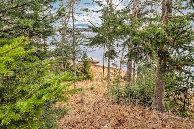 view of nature featuring a water view