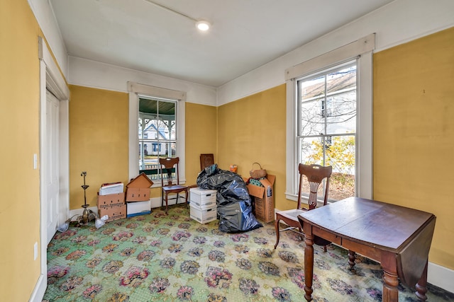 misc room featuring carpet and a healthy amount of sunlight