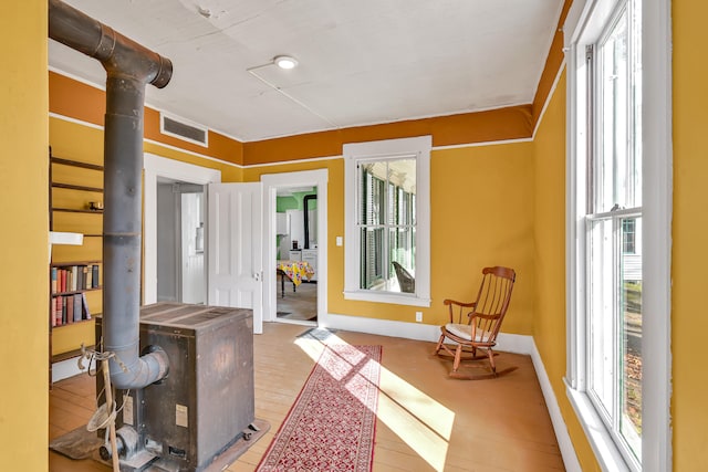 interior space featuring hardwood / wood-style floors, a wood stove, and plenty of natural light