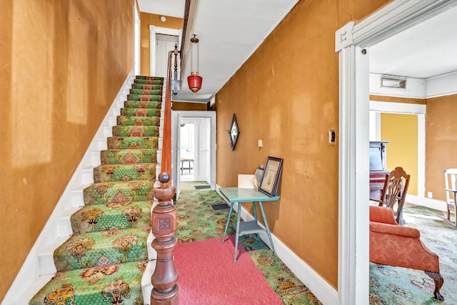 stairway featuring carpet flooring