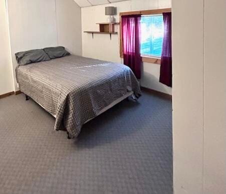 bedroom featuring carpet floors