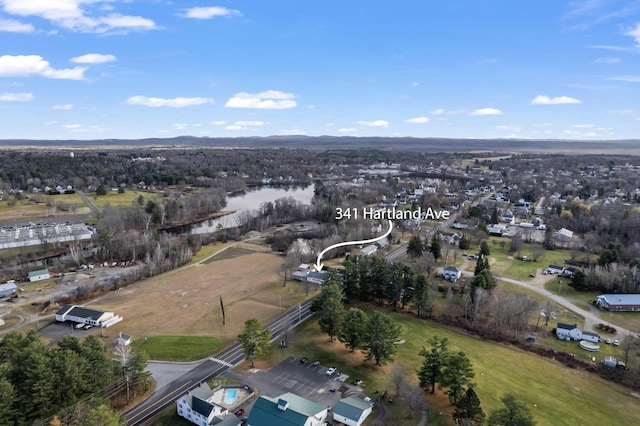 335 Hartland Ave, Pittsfield, ME 04967 - photo 72