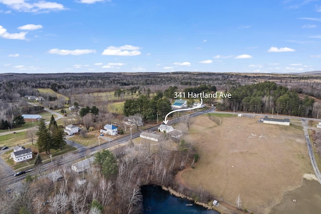 335 Hartland Ave, Pittsfield, ME 04967 - photo 73
