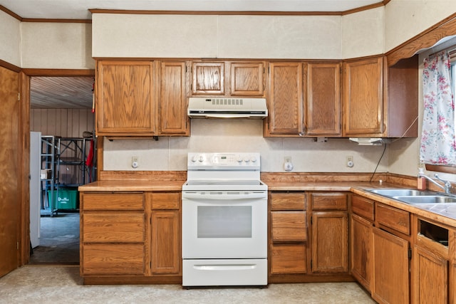 kitchen featuring sink, crown molding, and electric stove