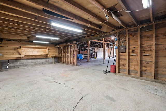 basement featuring electric panel