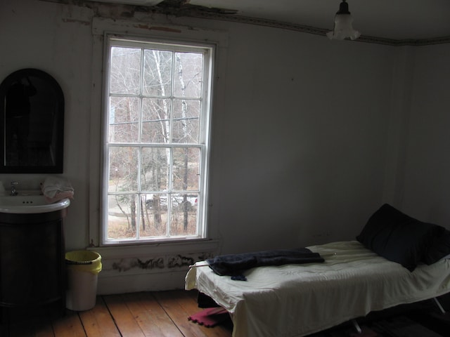 bedroom featuring multiple windows and hardwood / wood-style floors