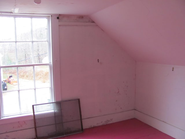 additional living space with vaulted ceiling