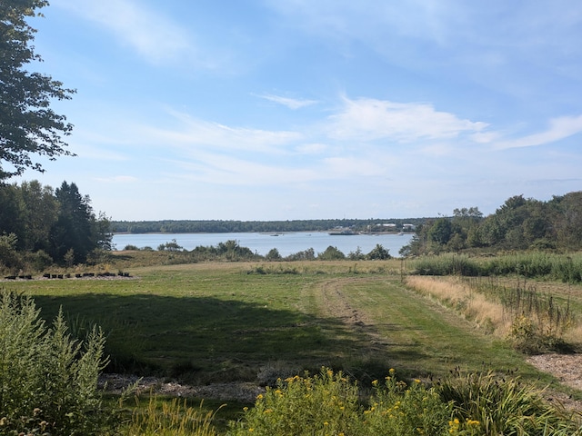 view of water feature