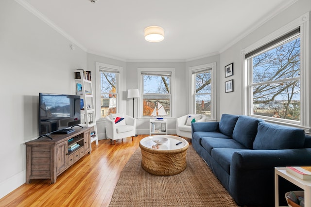 living room with light hardwood / wood-style flooring and ornamental molding