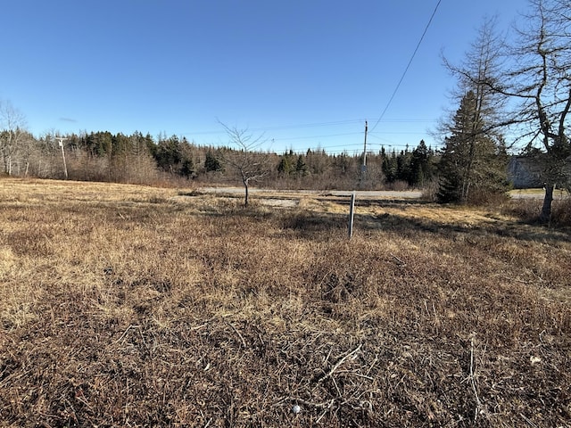 view of landscape featuring a rural view