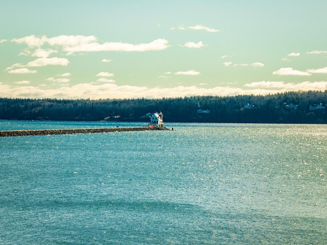 9 Jameson Point Rd Unit 10, Rockland, ME 04841 - water view featuring a forest