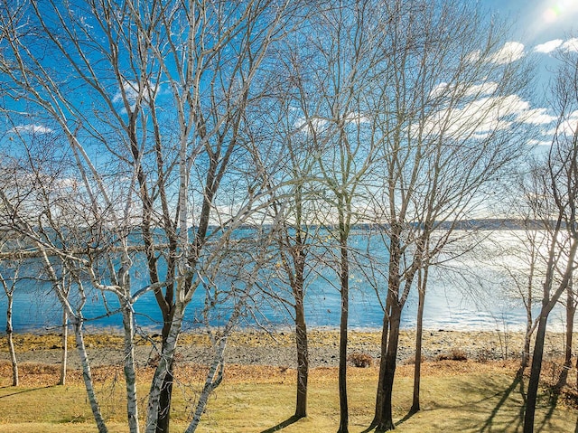 9 Jameson Point Rd Unit 10, Rockland, ME 04841 - water view