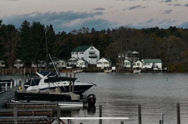 dock area with a water view