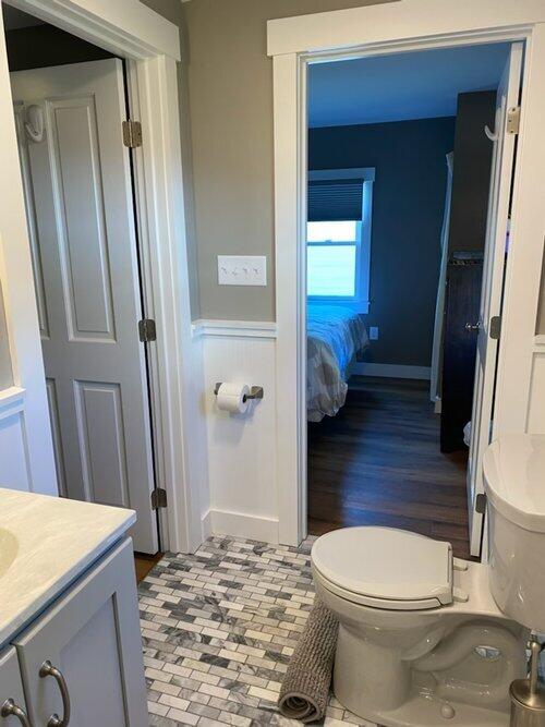 bathroom with vanity, wood-type flooring, and toilet