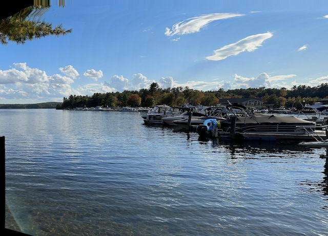 view of water feature with a dock