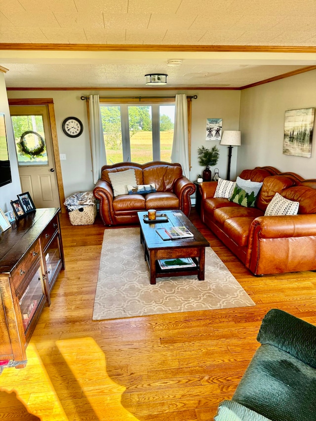 living room featuring crown molding and light wood-type flooring