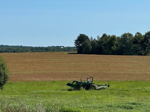 view of yard with a rural view