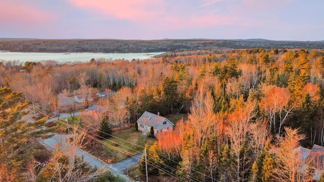 aerial view at dusk featuring a water view