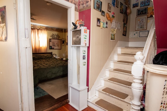 stairway with wood-type flooring