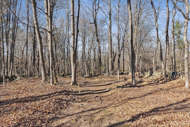 454 N Parish Rd, Turner, ME 04282 - view of landscape
