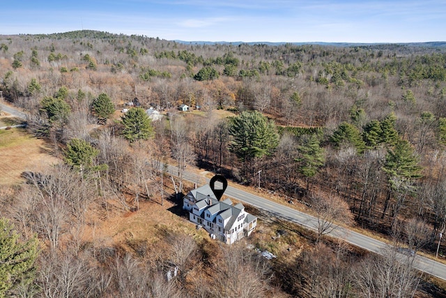 454 N Parish Rd, Turner, ME 04282 - birds eye view of property