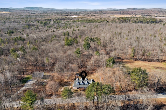 454 N Parish Rd, Turner, ME 04282 - drone / aerial view featuring a mountain view