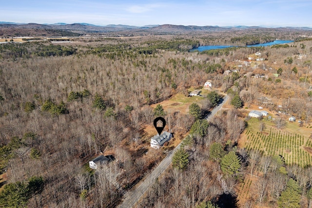 bird's eye view featuring a mountain view