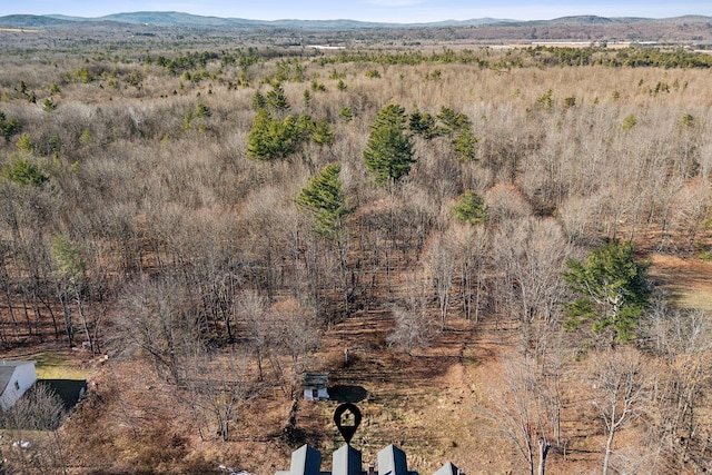 454 N Parish Rd, Turner, ME 04282 - view of mountain feature