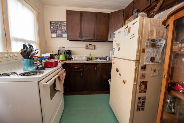 kitchen featuring dark brown cabinetry and white appliances