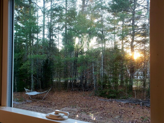 599 Plains Rd, Hollis, ME 04042 - view of local wilderness
