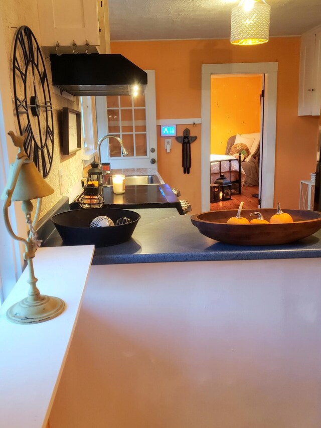 599 Plains Rd, Hollis, ME 04042 - kitchen featuring a sink and exhaust hood