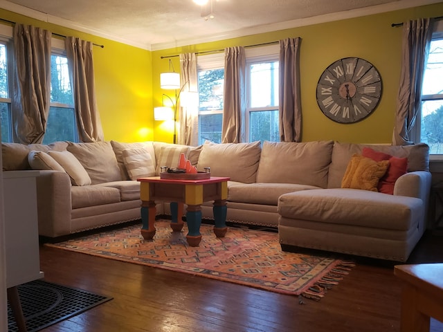 599 Plains Rd, Hollis, ME 04042 - living room featuring hardwood / wood-style flooring, healthy amount of natural light, and crown molding