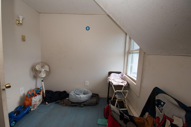 additional living space with hardwood / wood-style floors and lofted ceiling