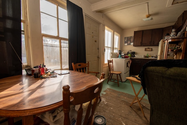 dining room with light hardwood / wood-style floors