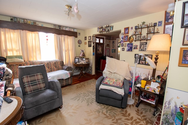 living room with light wood-type flooring and baseboard heating