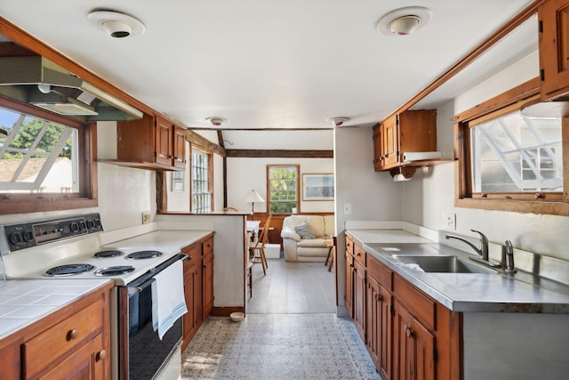 kitchen with electric range, plenty of natural light, light hardwood / wood-style floors, and sink