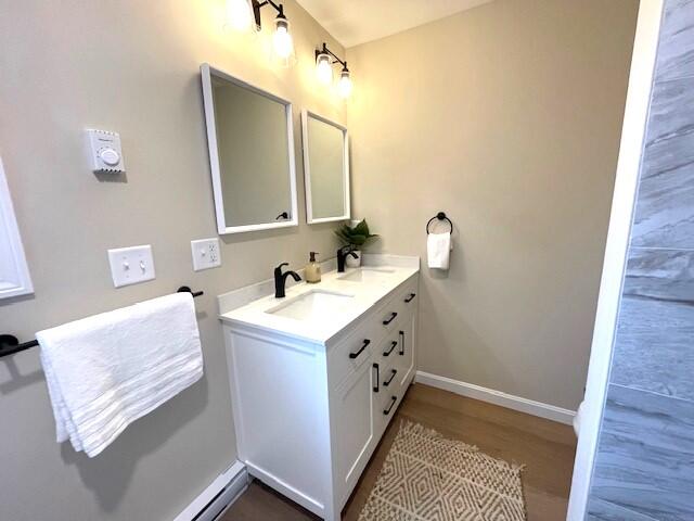 bathroom featuring hardwood / wood-style flooring and vanity