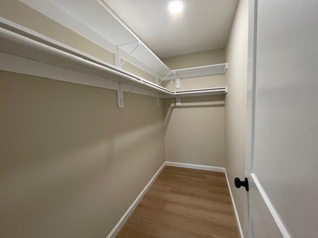 spacious closet with hardwood / wood-style flooring