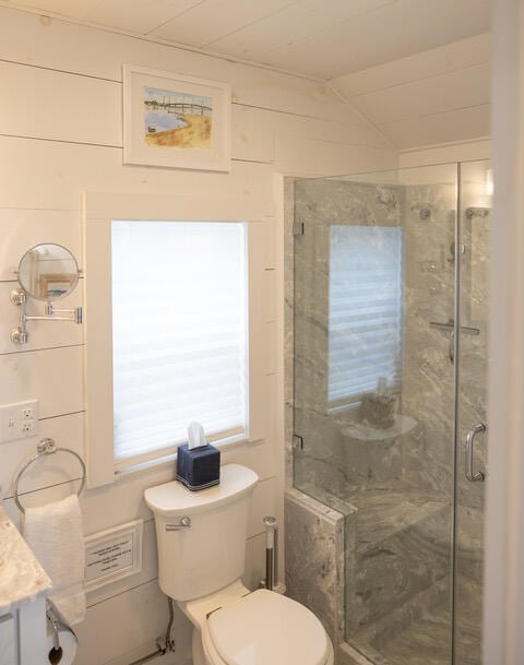 full bath with toilet, a shower stall, and vanity