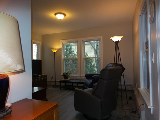 living room with dark hardwood / wood-style floors, a healthy amount of sunlight, and a baseboard radiator